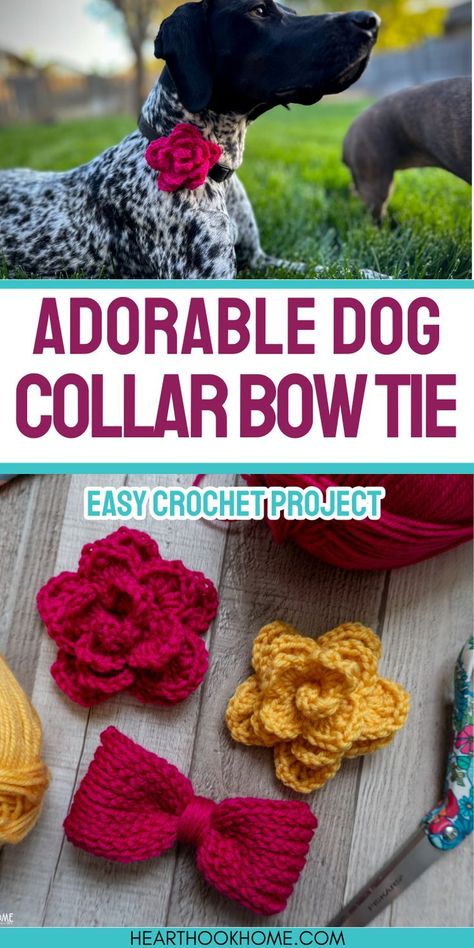 Enhance your dog's collar with these free crochet patterns for a bow tie and flower. Perfect for adding a touch of charm! Dog Beanie Pattern, Make A Bow Tie, Dog Collar Pattern, Dog Bandana Pattern, Bowtie Pattern, Make A Bow, Crochet Dog Patterns, Crochet Dog Sweater, Cute Dog Collars