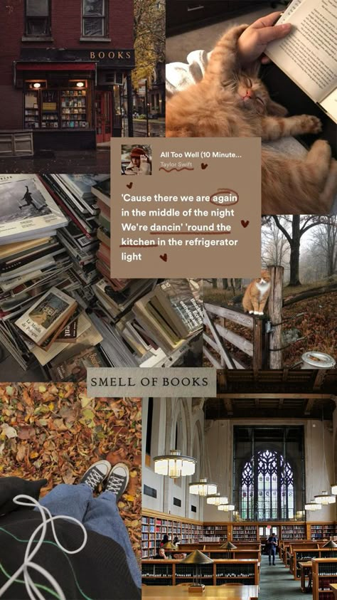 Motivation mood board for fall🍂 Fall Dream Board, Fall 2024 Mood Board, Fall Vision Board Aesthetic, Literature Student Aesthetic, Reading Mood Board, Motivation Mood Board, Fall Girl Aesthetic, Autumn Vision Board, Vision Board Fall