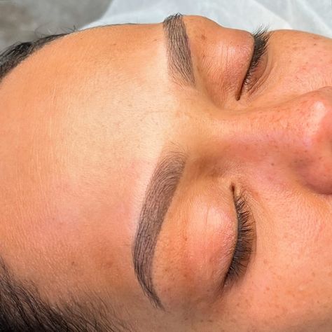 Healed ombré powder brows are my favorite 🎀 #softnaturalbrows #naturalombrepowder #microblading #permanentmakeup #bostonpermanentmakeup #bostonmicroblading Powder Brows, Microblading, Boston, My Favorite, Quick Saves