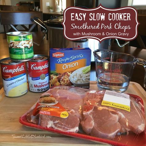 Slow Cooker Smothered Pork Chops, Slow Cooker Pork Chops Recipes, Pork Chop Recipes Crockpot, Mushroom Pork Chops, Pork Chops And Gravy, Smothered Pork, Crockpot Pork Chops, Slow Cooker Pork Chops, Smothered Pork Chops