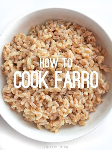 This short tutorial takes you through the basics of how to cook farro, plus a few facts about this versatile, chewy, and flavorful grain. How To Cook Farro, Farro Recipes, Budget Bytes, Grain Foods, Budget Friendly Recipes, New Blog Post, Food Tips, Cheap Meals, Mediterranean Recipes