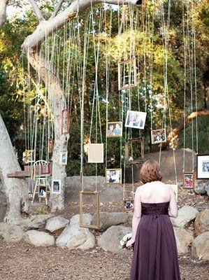 tree decor: we obviously couldnt do it this big, but maybe with some of the senior's pictures dangling Wedding Photo Display, Deco Champetre, Prom 2024, Real Weddings Photos, Hanging Frames, Photo Display, Photo Decor, Deco Floral, Anniversary Parties