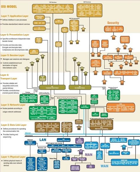 One of the best break downs of the OSI model that I have seen today. Osi Layer, Networking Basics, Network Layer, Osi Model, Architecture Diagram, Enterprise Architecture, Cisco Networking, Network Engineer, Computer Coding