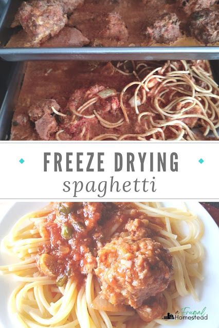 Freeze drying meals like freeze dried spaghetti and meatballs is a great way to create food storage but also cut back on meal prepping during a busy w Best Meals To Freeze Dry, Dry Freeze Food, How To Freeze Dry Marshmallows, Best Freeze Dried Meals, Freeze Dry Potatoes, Meals To Freeze Dry, Freeze Dried Meals Recipes, Freeze Dry Meal Recipes, Freeze Dryer Meal Recipes