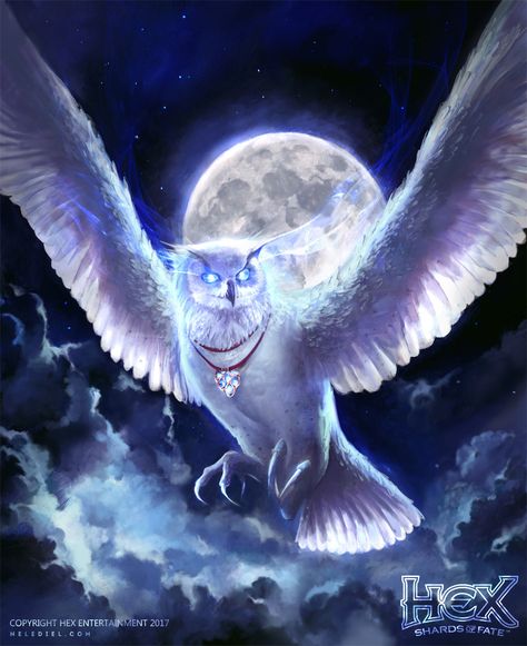 Magical Owl, Owl Artwork, Mystical Animals, Elves Fantasy, Owl Wallpaper, Gothic Fantasy Art, Fantasy Art Dolls, Fantasy Beasts, Final Fantasy Art