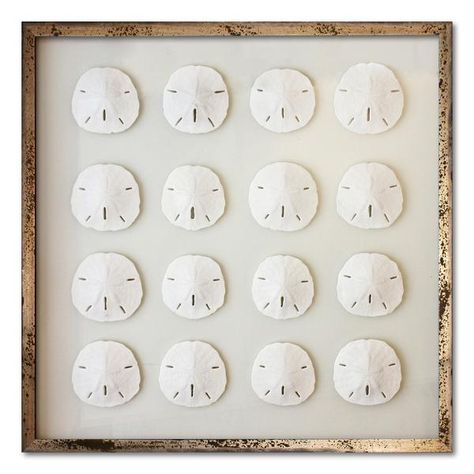 Keyhole Sand Dollars – WJC Design + Ambler Art Group Wall Art Florida, Sand Dollar Art, Whale Wall Art, Frames Sizes, Cottages And Bungalows, Sand Dollars, Sea Shell Decor, Nautical Wall Art, Nautical Wall