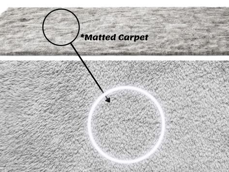 How To Fix Matted Shag Rug, How To Fluff Carpet Back Up, How To Make Carpet Fluffy Again, How To Refluff Matted Carpet, Refresh Carpet, Fluff Carpet, How To Dye Carpet, Flat Carpet, Matted Carpet Revive