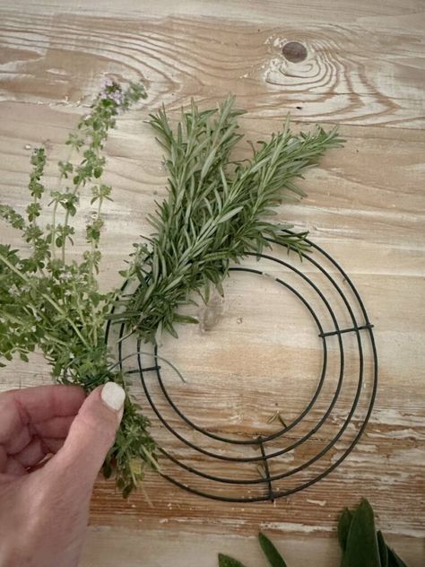 Do you grow herbs in your garden? Even if you don't have an herb garden, perhaps you have a friend or neighbor that would love to share some with you, so I want to show you how to create a simple wreath with fresh herbs. This project only takes a few supplies and is so easy to make. This wreath will be a great addition to your spring and summer decor and will dry beautifully and take you right into the fall months. A living herb wreath is such a beautiful way to bring nature inside. Herb Garden Gift, Herb Wreath, Fresh Christmas Wreath, Simple Wreath, Small Herb Gardens, Fresh Wreath, Living Wreath, Grow Herbs, Rosemary Plant