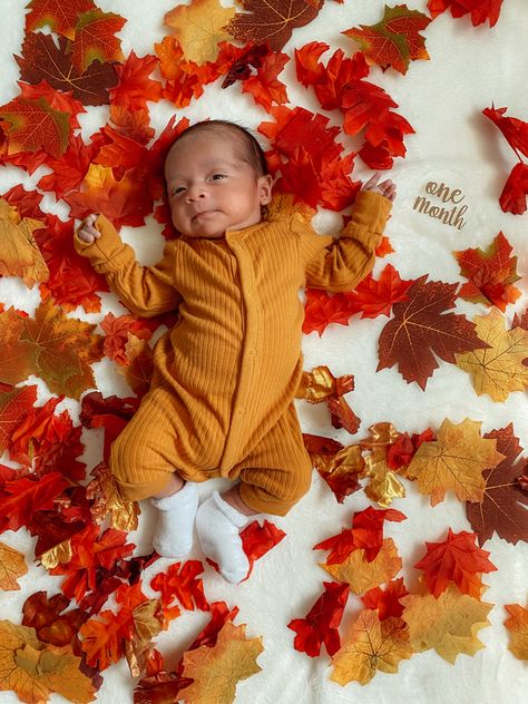 Infant Fall Photoshoot At Home, Diy Newborn Thanksgiving Pictures, 2 Month Fall Photoshoot, 1 Month Old Baby Pictures Thanksgiving, November Infant Photoshoot, Fall Theme Milestone Pictures, October One Month Picture, 2 Month Old Fall Photo Shoot, Infant Fall Pictures