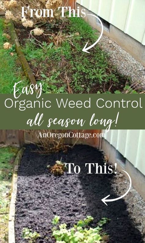 You really can have a weed-free flower bed all season long with this method for organic weed control. Click for all the details with lots of tips to the do-it-once-and-forget-it method! #garden #weeds Weeding Tips, Seed Ornaments, Oregon Cottage, Garden Improvement, Townhouse Garden, Clean Flowers, Garden Weeds, Homestead Living, Yard Project