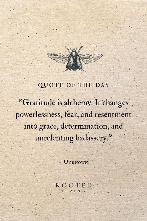 Gratitude is like alchemy, the ancient practice of turning base metals into gold. It has the power to transform the ordinary moments of life into something precious and profound. Just as those alchemists aimed to change the very essence of things, gratitude changes how we see the world, and shifts our perspective, transmuting challenges into opportunities, and everyday experiences into sources of joy and growth. ✨ Alchemy Quotes, The Alchemist, Alchemist Quotes, Gratitude Changes Everything, Profound Quotes, Self Inspirational Quotes, Alchemy, Practice Gratitude, Gratitude Quotes