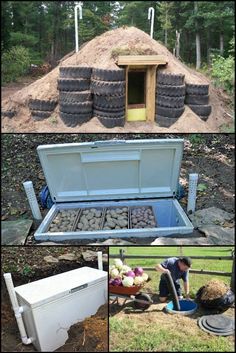 Preserving Produce, Case Sotterranee, Root Cellars, Doll Magazine, Cellar Ideas, Preserve Food, Root Cellar, Vegetable Storage, Ancient Technology