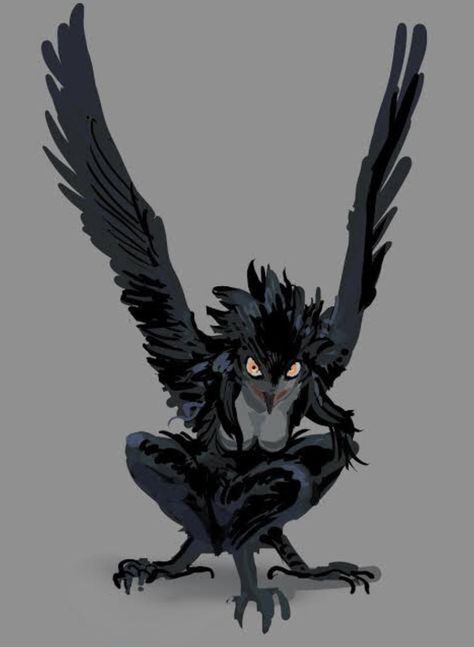 Anthro Bird Reference, Harpy Oc Outfit, Bird Alien Character Design, Crow Wing Reference, Harpy Eagle Character Design, Holding Bird Pose, Bird Feet Reference, Bird Legs Reference, Bird Legs On Human