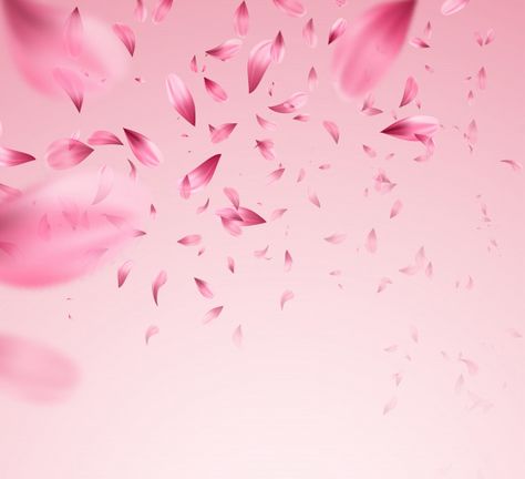 Pink sakura falling petals background. | Premium Vector #Freepik #vector #background #flower #floral #light Pink Birthday Background, Sakura Background, Petals Background, Flora Background, Pink Bg, Happy Birthday Invitation Card, Gift Box Images, Pink Floral Background, Falling Petals