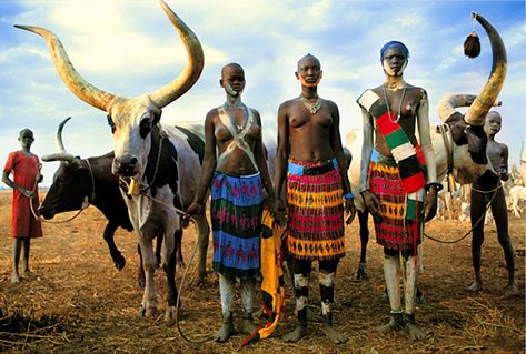 Angela Fisher and Carol Beckwith, a team of travelers in the ... Mursi Tribe Ethiopia, Long Horns, Africa People, Mursi Tribe, African People, Post Mortem, African History, Vintage Portraits, African Culture