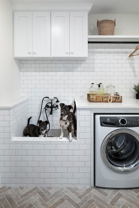 2020 Artisan Home Tour - Laundry Room - Minneapolis - by Housing First Minnesota | Houzz Landmark Photography, Alma Homes, Utility Room Organization, Transitional Laundry Room, Traditional Laundry Room, Pet Washing Station, Grey Laundry Rooms, Custom Laundry Room, Dog Washing Station