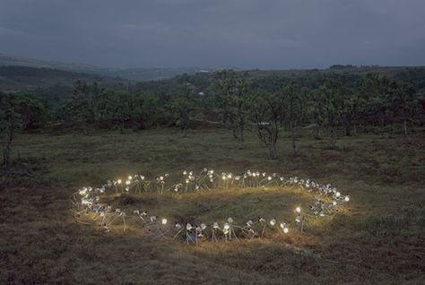 Just as good as a fairy ring................. Rune Guneriussen, Sydney + Core + Aesthetic, Book Installation, Fae Aesthetic, Fairy Ring, Marcel Duchamp, Conceptual Artist, Fairy Aesthetic, Midsummer Nights Dream