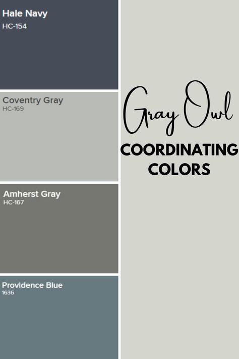 Learn everything you need to know about the fabulous Benjamin Moore Gray Paint Color Gray Owl. I'm talking undertones, complementary colors, and more! #gray #homeideas # paintcolors #interior #neutral Grey Owl Benjamin Moore Bathroom, Grey Owl Color Palette, Gray Owl Color Palette, Colors That Go With Grey, What Color Goes With Gray, Colors That Go With Gray, What Colors Go With Gray, Gray Color Schemes, Gray Owl Paint