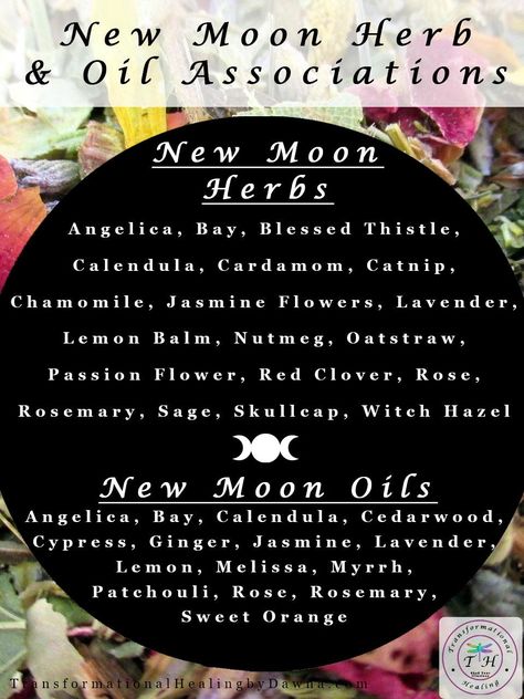 New Moon Herbs and Oils Apothecary – Transformational Healing by Dawna Moon Herbs, October New Moon, Lunar Witch, Spiritual Rituals, Moon Magick, Witch Herbs, Moon In Aquarius, Moon Spells, Moon Rituals