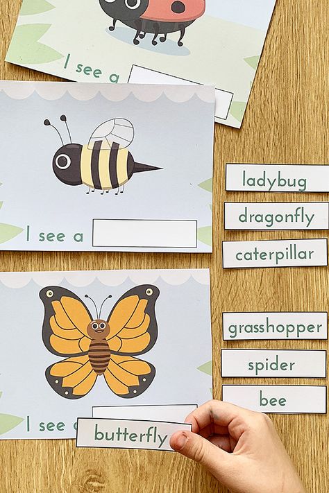 Free Printable Emergent Reader and Literacy Group Activity: I See Bugs Early Literacy Activities Preschool Free Printables, Emergent Reading Activities, Bug Literacy Activities Preschool, Emergent Literacy Activities, Educational Bug Activities, Bugs Literacy Activities, Bug Matching Game Free Printable, Books About Insects For Preschool, Emergent Literacy