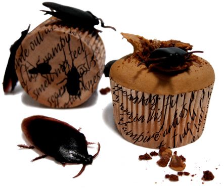 Cockroach Cupcakes Cockroach Cupcakes, Vampire Film, Step Son, Witching Hour, Cupcake Ideas, Film School, Halloween Cupcakes, Yummy Cupcakes, Halloween Inspiration