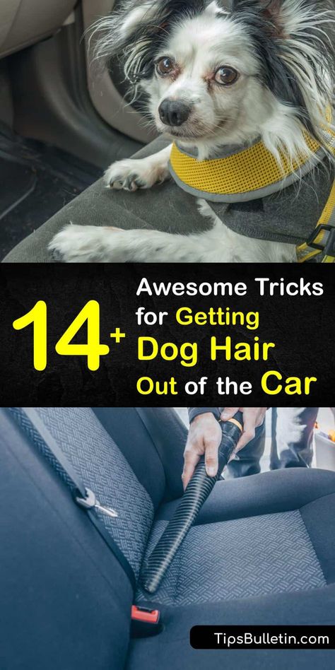 Using common items like duct tape, Velcro curlers, and a pumice stone, find out how to get rid of dog and cat hair in your car. Make pet hair removal easy and fun with our trick involving static electricity and balloons. #dog #hair #car #remove Remove Dog Hair From Car, Arm And Hammer Super Washing Soda, Spring Cleaning Challenge, Dog Hair Removal, Diy Household Cleaners, Cleaning Painted Walls, Bathroom Cleaning Hacks, Deep Cleaning Tips, Clean Your Car