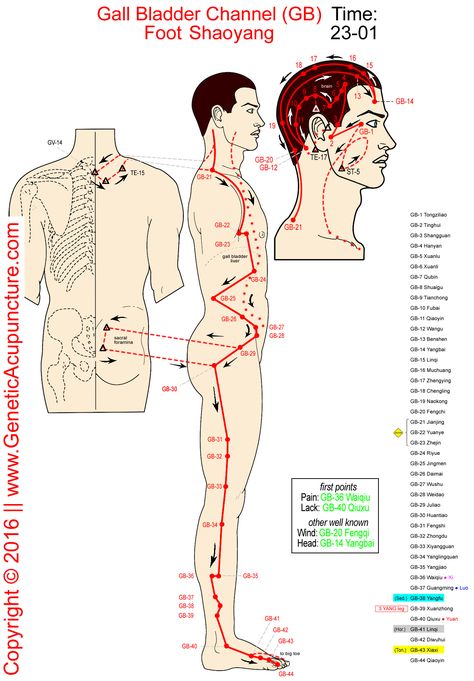 Traditional Chinese Medicine Acupuncture, Meridian Acupuncture, Acupuncture Points Chart, Polarity Therapy, Acupuncture Benefits, Gall Bladder, Acupressure Therapy, Hand Reflexology, Reflexology Massage