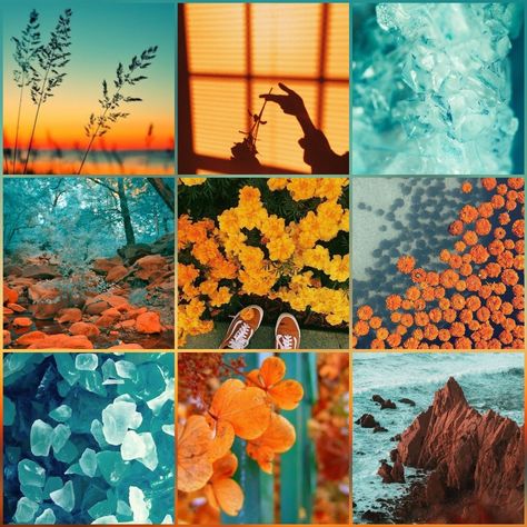 Orange/Teal/Flower aesthetic Nature Moodboard Aesthetic, Orange And Blue Moodboard, Blue And Orange Mood Board, Orange Mood Board Aesthetic, Orange And Teal Aesthetic, Mood Board Color Palettes, Teal Moodboard, April Mood Board, Teal Mood Board