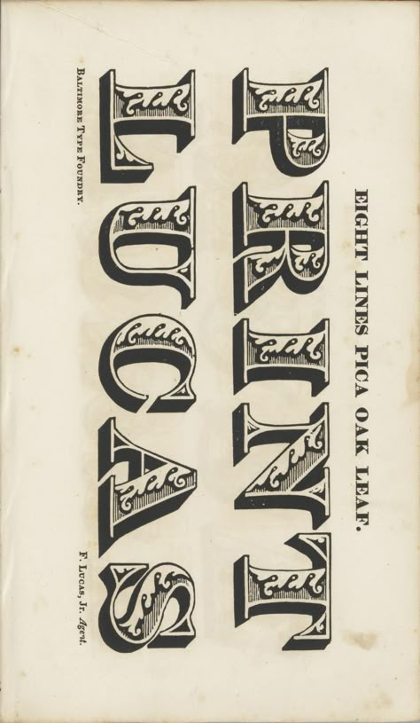 A specimen of printing types and ornaments from the Baltimore Type Foundry : Baltimore Type Foundry : Free Download, Borrow, and Streaming : Internet Archive Sign Lettering Fonts, Letterpress Machine, Graphic Design Letters, Letterpress Type, Type Specimen, 1 December, Letterpress Stationery, Hand Lettering Inspiration, Calligraphy Hand Lettering