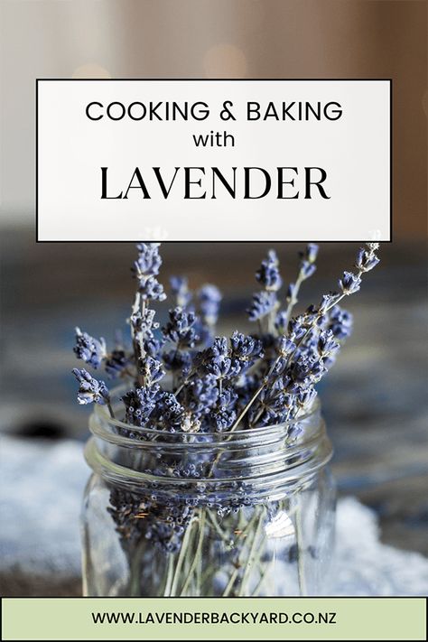 How to Cook & Bake with Lavender? Lavender Plant Uses, Lavender Products, Lavender Recipes, Culinary Lavender, Lavender Extract, English Lavender, Infused Olive Oil, Lavender Plant, Lavender Farm