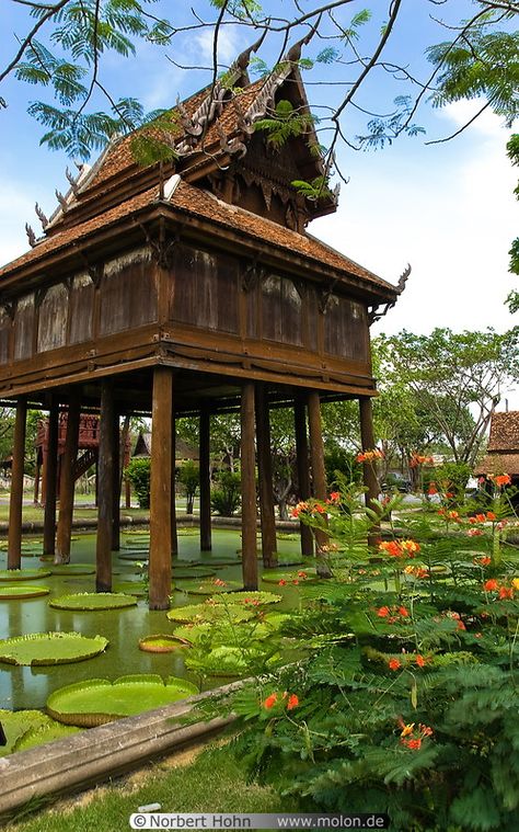 Thai Stilt House, Modern Kampung House, Building On Stilts, Traditional Thai Architecture, Thai Houses, Houses On Stilts, Stilt House, Thai Architecture, Thai House Traditional