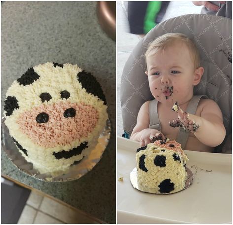 Farm 1st Birthday Cake Smash, Farm Animal First Birthday Party Smash Cakes, First Birthday Farm Smash Cake, Farm Animal Smash Cake First Birthdays, Smash Cake Cow Print, Holey Cow Im One Birthday, Cowboy Themed 1st Birthday Cake, My First Rodeo Birthday Cake Smash, Cowboy Themed Smash Cakes