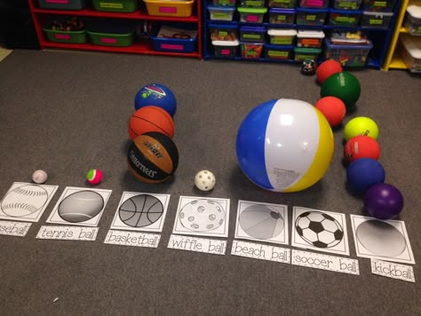 Ball sort and graph Activities With Balls, Ball Study Creative Curriculum, Preschool Graphs, Ball Activities, Creative Curriculum Preschool, Curriculum Preschool, Toddler Sports, Preschool Units, Ideas For Preschoolers