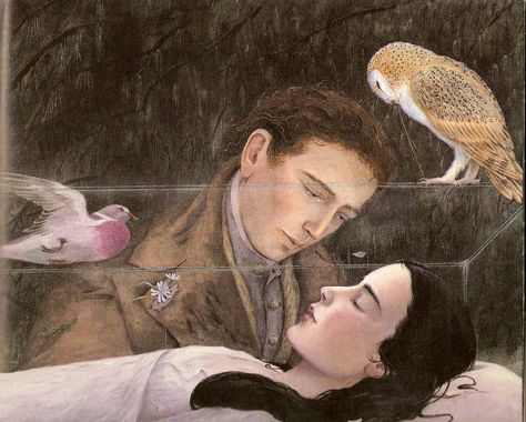 Snow White by Angela Barrett, 1991 Real Snow White, Charlie Bowater, Fairytale Illustration, Royal College Of Art, Fairytale Art, Folk Tales, Children's Book Illustration, Grimm, Nursery Rhymes