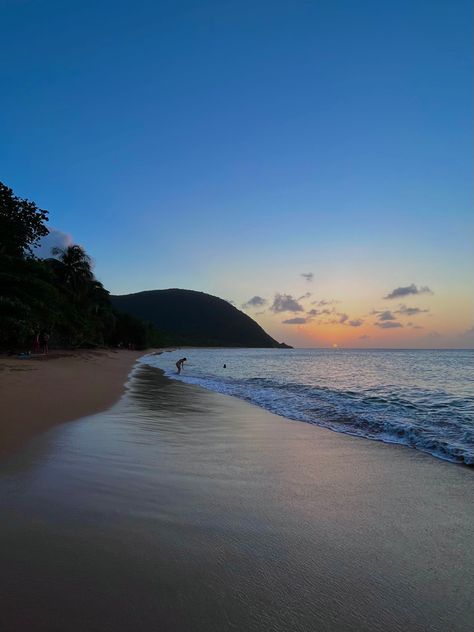 grande anse beach, guadeloupe Guadeloupe Aesthetic, West Indies, Collage, Iphone, Travel, Pins, Quick Saves