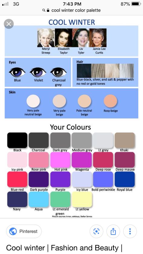 Cool Winter Color Palette Blonde, Cool Winter Colour Palette, Winter Season Makeup Color Palettes, Icy Winter Color Palette, Cold Winter Makeup Palette, Cool Winter Color Palette Outfits, Cold Summer Pallete, Clear Winter Color Palette Makeup, True Winter Palette