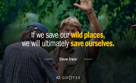 Wildlife Quotes, Nature Quotes Trees, Places Quotes, Terri Irwin, Environmental Quotes, Four Horseman, Irwin Family, Place Quotes, Crocodile Hunter