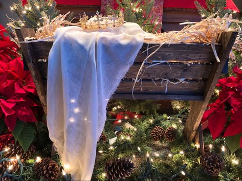 Manger Display Ideas, Church Altar Christmas Decorations, Manger Christmas Decor, Church Sanctuary Christmas Decor, Christmas Altar Decorations Church, Christmas Manger Ideas, Christmas Decorations For Church, Christmas Church Decorations Sanctuary, Nativity Display Ideas