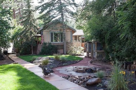 House For Sell, Novel Inspiration, Places To Rent, Flowering Plants, Trendy Home, Spring Home, 2 Bed, Mulch, Colorado Springs