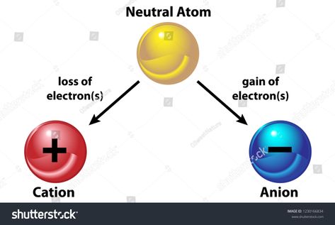 A neutral atom becomes an ion by either losing and electron (cation) or gaining an electron (anion)ion#losing#neutral#atom Cation And Anion, Chemical Bonds, Chemical Bond, Graphics Design Ideas, Graphics Design, Atom, Stock Vector, Design Ideas, Royalty Free