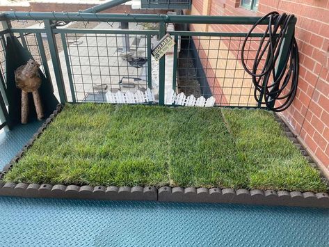 Balcony For Dogs, Balcony Dog Potty, Dog Grass Patch, Dog Potty Diy, Fake Grass For Dogs, Dog Turf, Sod Grass, Porch Potty, Dog Potty Area