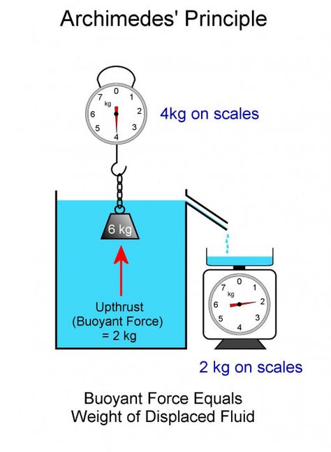 The principle of Archimedes. Buoyant force equals the weight of the displaced fluid. #STEM #science #physics #tutorials #education #EightGrade Buoyant Force, Archimedes Principle, Teaching Physics, Physics Poster, General Physics, Physics Concepts, Learn Physics, Physics Classroom, Basic Physics