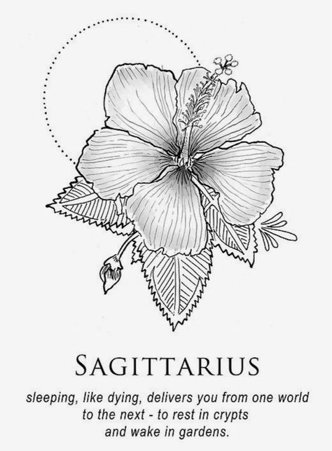 Sagittarius Tattoo Designs, Sagittarius Art, Sagittarius Tattoo, Sagittarius Astrology, Sagittarius Quotes, Constellation Tattoos, Desenho Tattoo, Iphone Aesthetic, Zodiac Art