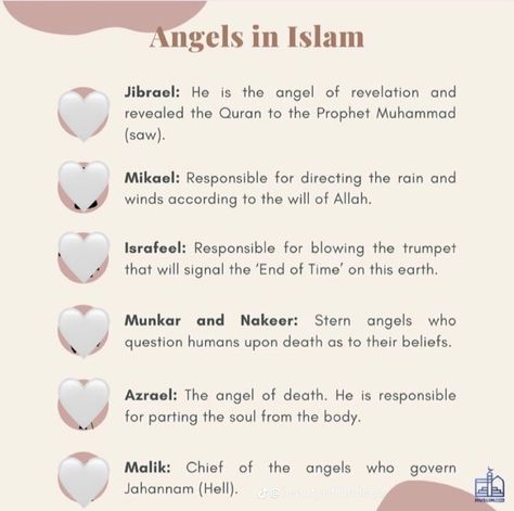 Angels In Islam, Islam Tips, Books On Islam, Prophets In Islam, Ramadan Tips, Islam Lesson, Islam Beliefs, Muhammad Quotes, Islamic Information