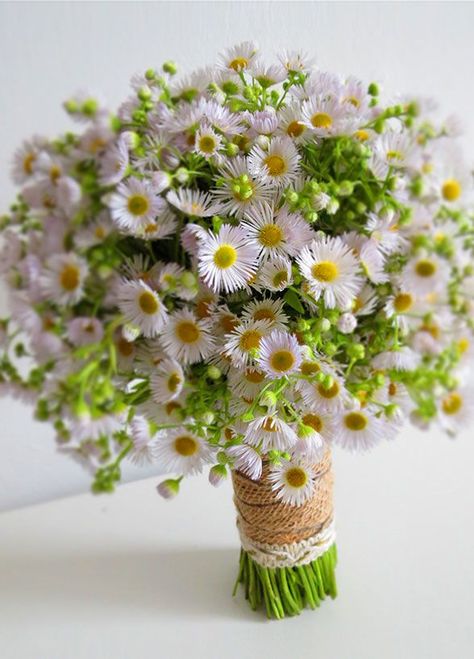 Aster Flower, Daisy Wedding, Summer Bouquet, Floral Event Design, Fall Wedding Flowers, Trendy Flowers, White Bouquet, Arte Floral, Bride Bouquets