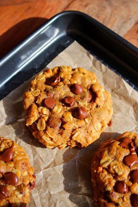 Brown Butter Pumpkin Oatmeal Chocolate Chip Cookies - Taffey Bakery Pumpkin Oatmeal Chocolate Chip, Pumpkin Oatmeal Chocolate Chip Cookies, Pumpkin Oatmeal Muffins, Fall Cookie Recipes, Thanksgiving Sweet Treats, Pumpkin Oatmeal Cookies, Chewy Cookies, Oatmeal Cookies Chewy, Oatmeal Chocolate Chip