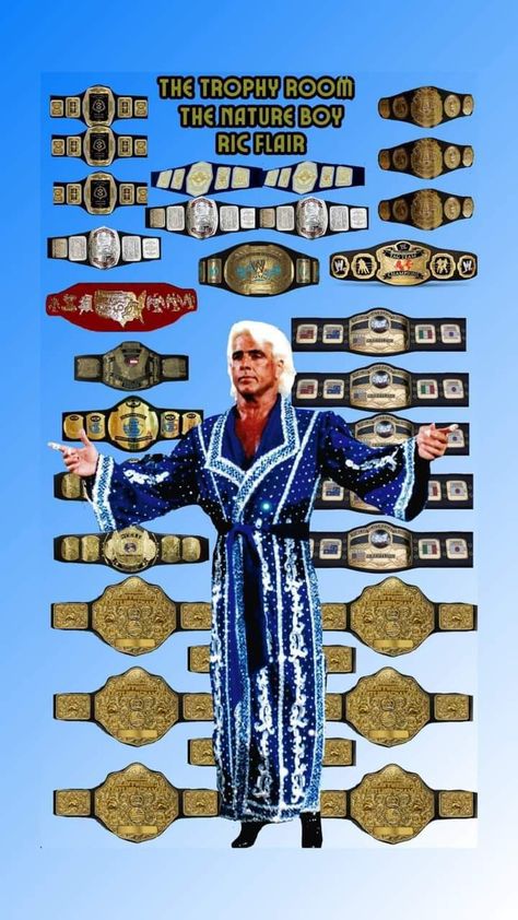 Nwa Wrestling, Wwe Championship Belts, Japanese Wrestling, Undertaker Wwe, Nfl Championships, Wrestling Posters, American Football League, Professional Wrestlers, Gardens Design