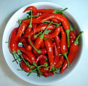 Health Benefits of Cayenne Pepper Cayenne Pepper Benefits, Garcinia Cambogia, Hot Spices, Fat Burning Tips, Hot Spicy, Cayenne, Cayenne Peppers, Health Problems, Fat Burning