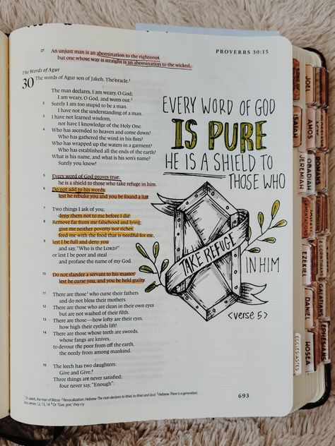 Proverbs Bible Study, Legacy Bible, John Bible Study, Proverbs Bible Journaling, Bible Wrecking, I Am A King, John Bible, Jesus Ideas, Proverbs 30