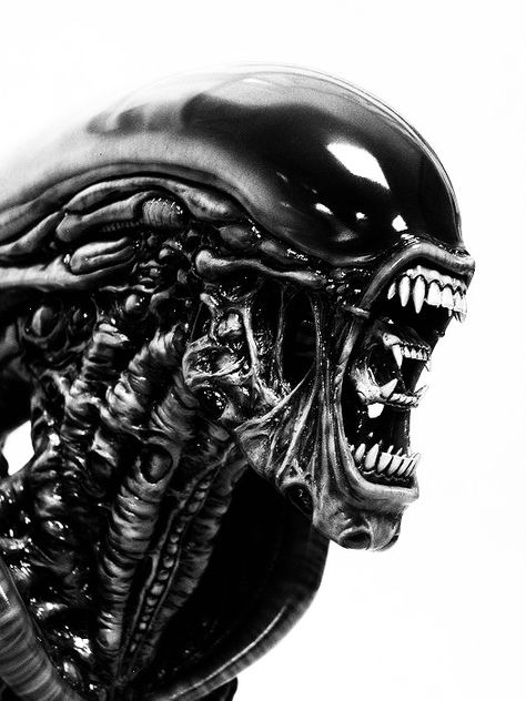 Movie Character Tattoos, Hr Giger Alien, Aliens Movie Art, Giger Alien, Predator Alien Art, Giger Art, Alien Artwork, Movie Tattoo, Scary Tattoos